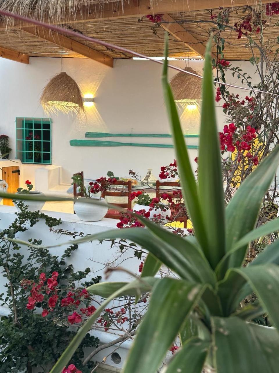 Dar El Mahdia By Daldoul Bed & Breakfast Eksteriør bilde